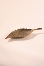 Brass Leaf Platter